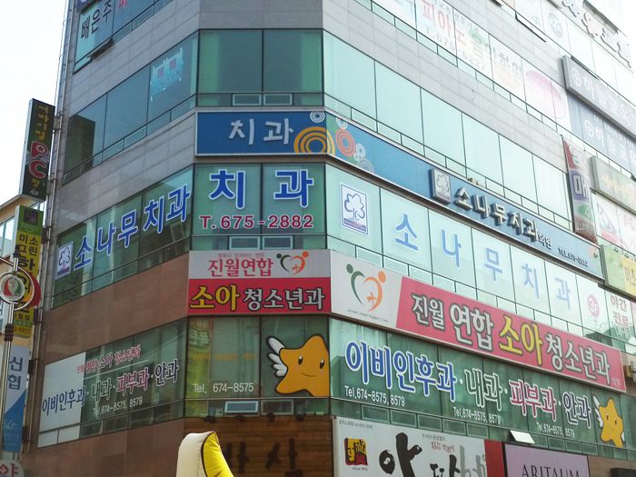 소나무치과(노대동)