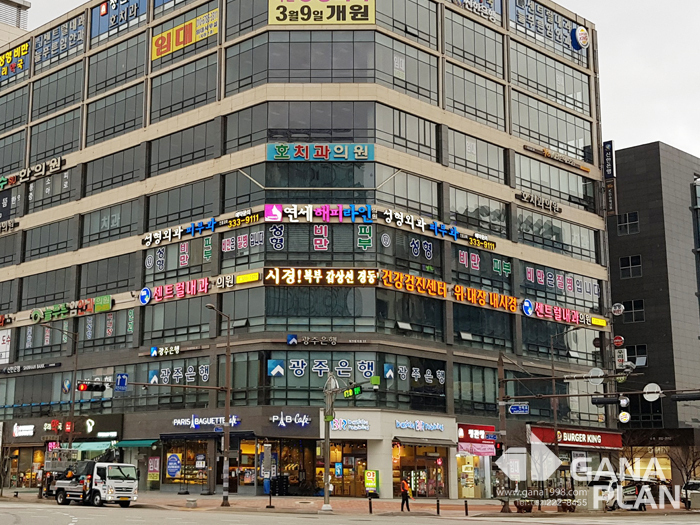 센트럴내과(나주혁신도시)